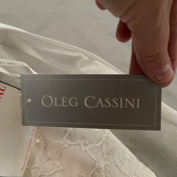 Oleg Cassini Wedding Dress - Picture 5 of 6